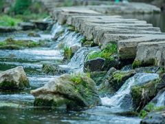 -贵阳市花溪国家城市湿地公园