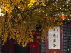 -四川大学(华西校区)