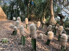 -南山植物园