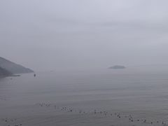 -北岐滩涂