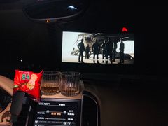 -枫花园汽车电影院(朝阳公园店)