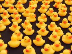 iphone_upload_pic-证大大拇指广场(芳甸路店)