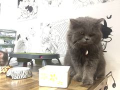 -小时光咖啡馆(开森度假森林店)