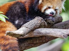 -Galleria百货店名品馆