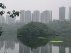-重庆彩云湖湿地公园