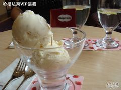 DSC07962-哈根达斯(西安高新店)
