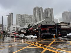 -油麻地果栏