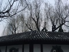 -团结湖公园