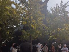 -海阳地雷战旅游区