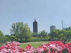 -西海子公园