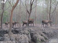-溱湖国家湿地公园