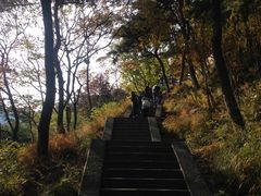 -崂山仰口游览区