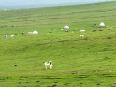 -新疆那拉提国家旅游度假区
