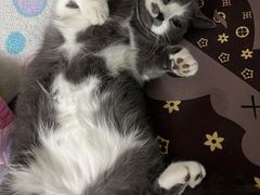 -东豪园林海鲜酒家(南港路辅路店)