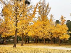 -香山公园