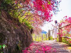 -木兰云雾山