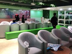 -学知乐教育·幼小衔接·小学科辅导(嘉定镇校区)