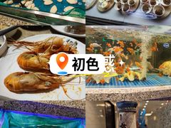 -初色海鲜自助(万丰路店)