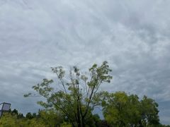 -春晖园度假酒店温泉