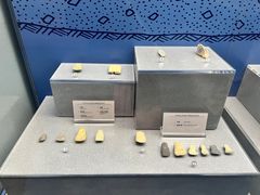 -深圳博物馆历史民俗馆