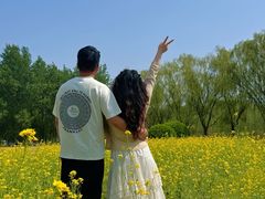 -天津武清北运河郊野公园房车露营地