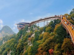 -少华山国家森林公园