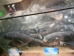 -上名堂·鱼头好吃(体育场路店)