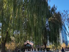 -西海子公园