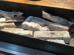 -海拉尔碳烤羊腿烤鸽子(吕营店)