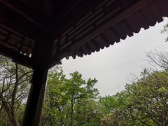 -长春市南湖公园