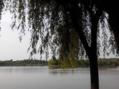 -昆山城市生态森林公园