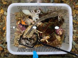 -钓虾工场·钓虾·赶海(回龙观店)