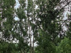 -北京山里寒舍度假酒店