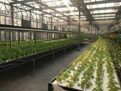 -中国农科院国家农业科技展示园