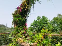 -深圳仙湖植物园