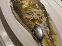 -宝燕壹号(徐汇店)