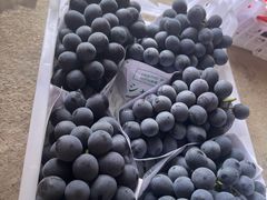 -马陆小张葡萄园农家乐