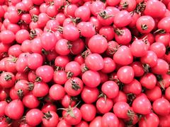 -聚家乐生鲜超市(枫林路店)