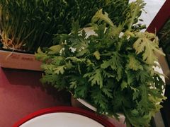 -九鼎轩脆毛肚火锅(三钢里店)