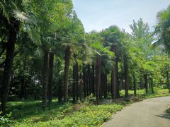 -上海滨江森林公园