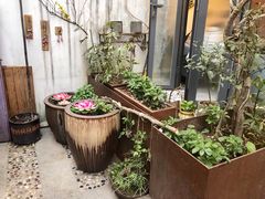 -甜阿姨·天台花园私房菜(万松园店)