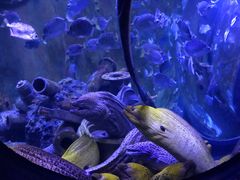 -成都浩海立方海洋公园