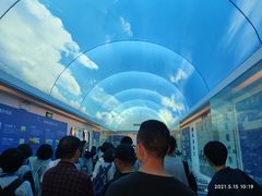 -大嶝英雄三岛战地观光园