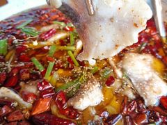 川香沸腾鱼-先启半步颠·川菜小炒