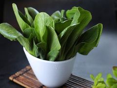 青菜-小龙坎老火锅(华飞店)