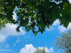 -鼎泰丰(渔阳店)