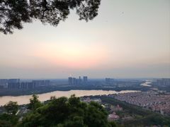 -顺峰山公园