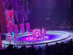-珠海横琴长隆《卡卡虎奇遇记》