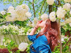 -大龙山(地铁站)