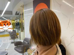 -潘多拉Hairsalon